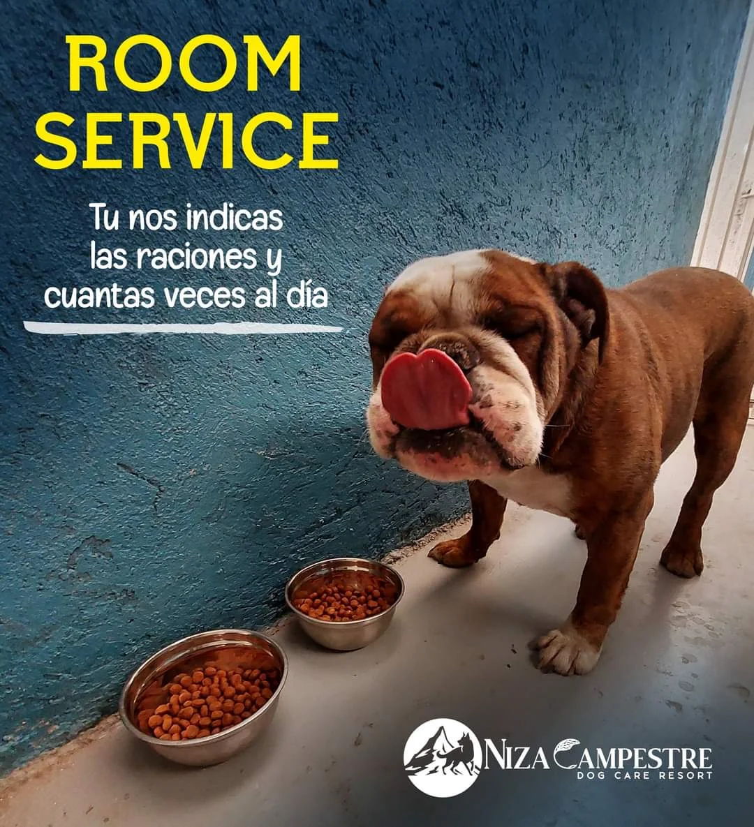 pensión canina Toluca