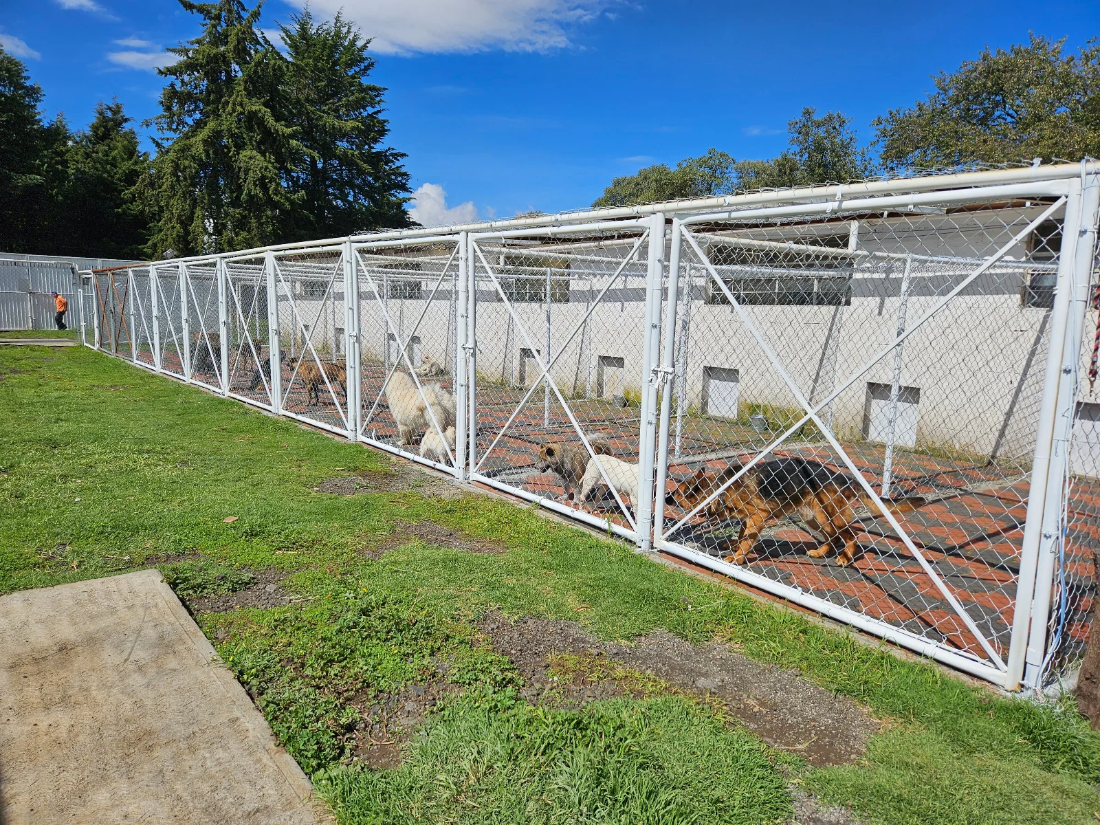 Niza Campestre, hotel y guardería canina en Toluca