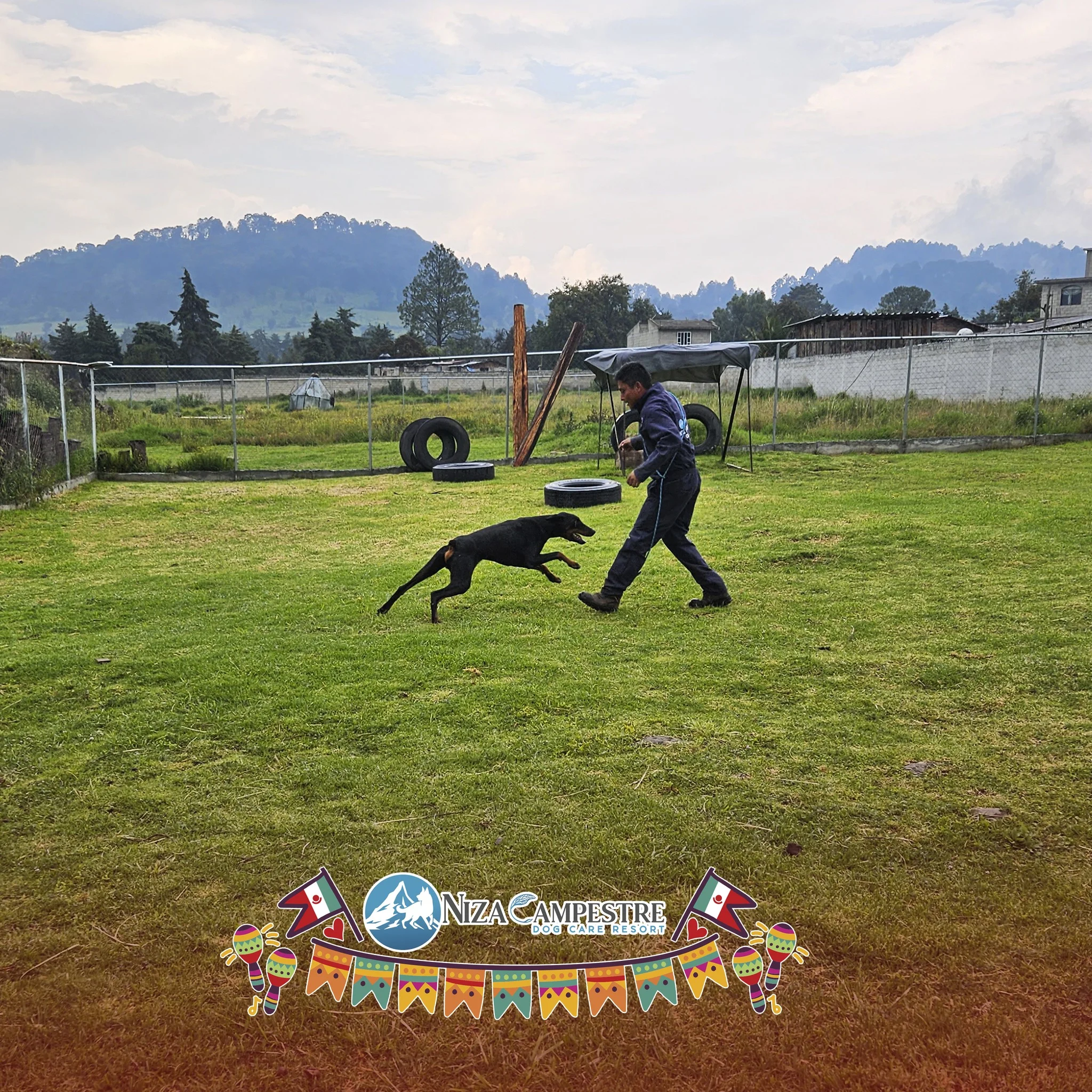 perro en pensión canina y gardería Niza Campestre en Metepec y Toluca