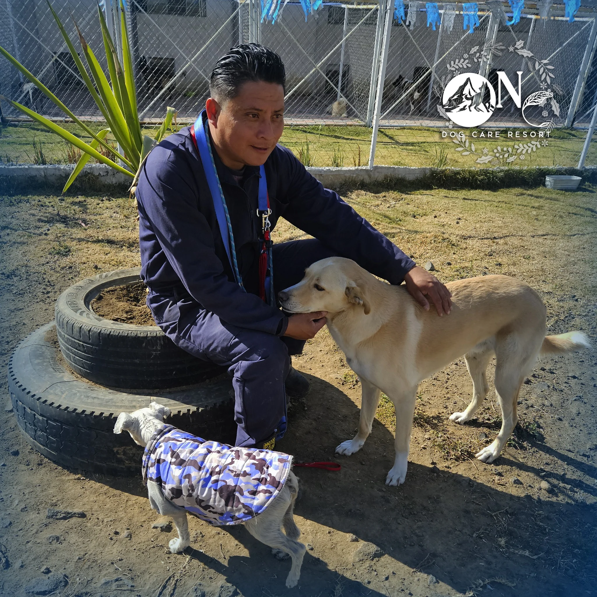 guarderia canina