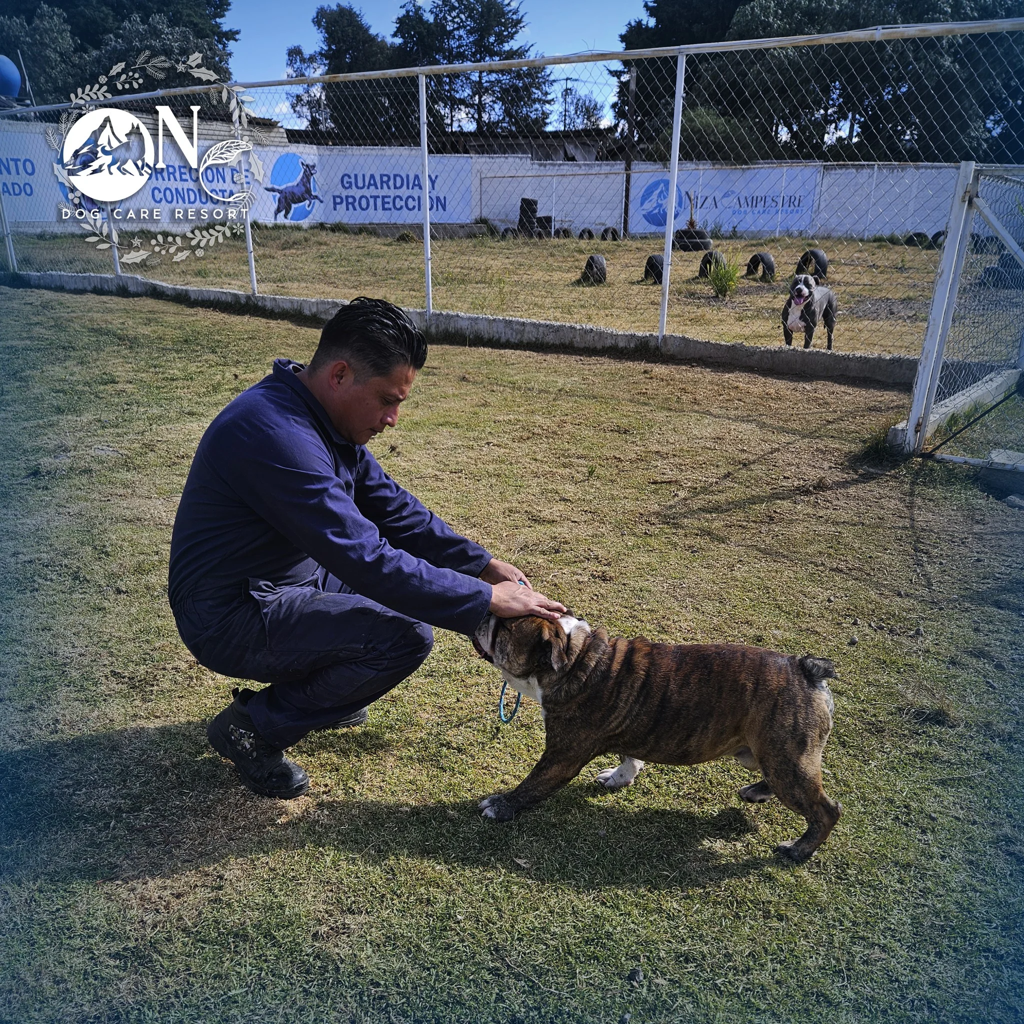 guarderia canina