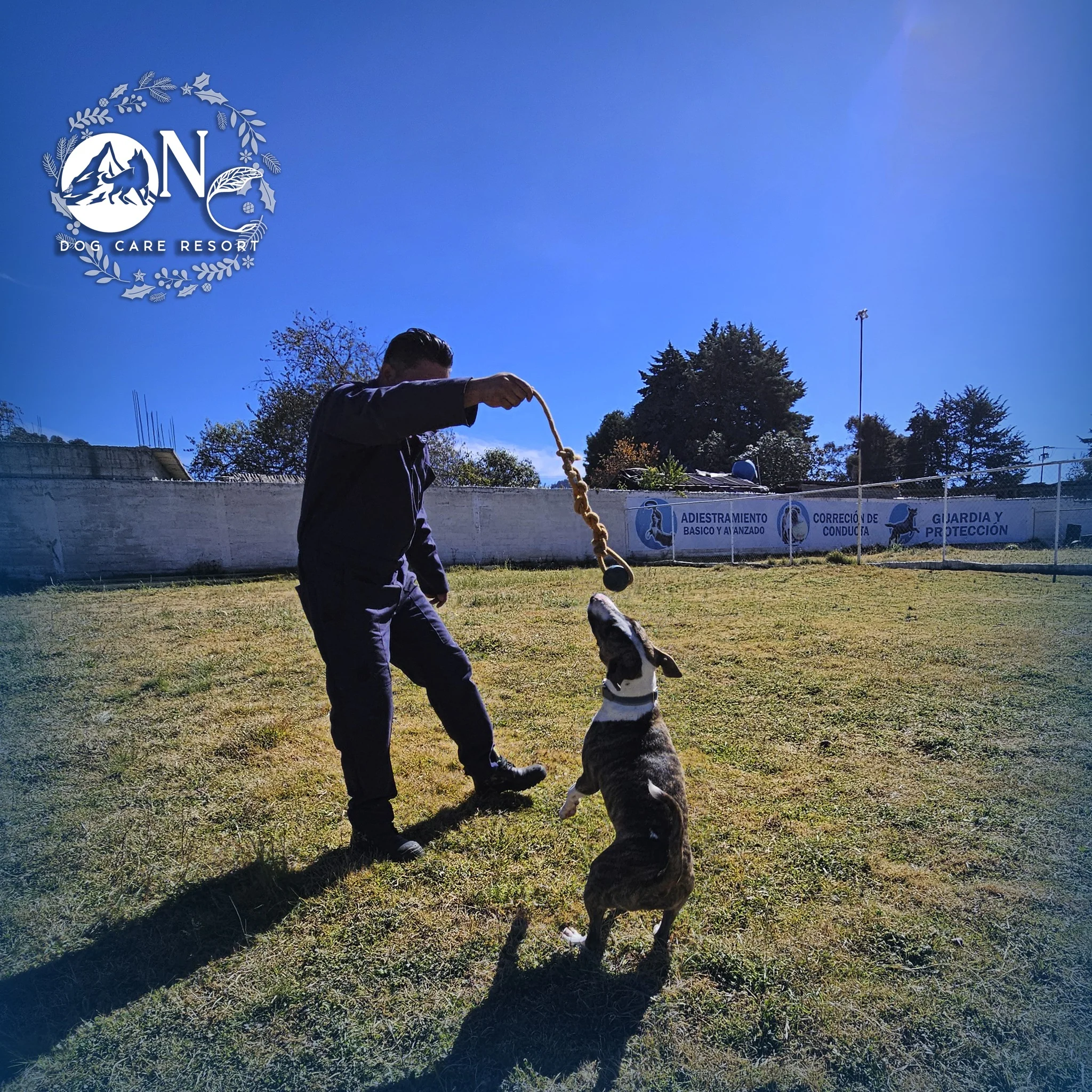 guarderia canina