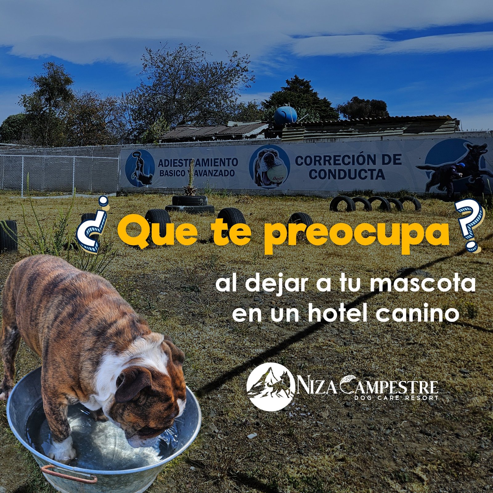 hotel canino en Niza campestre Toluca y metepec