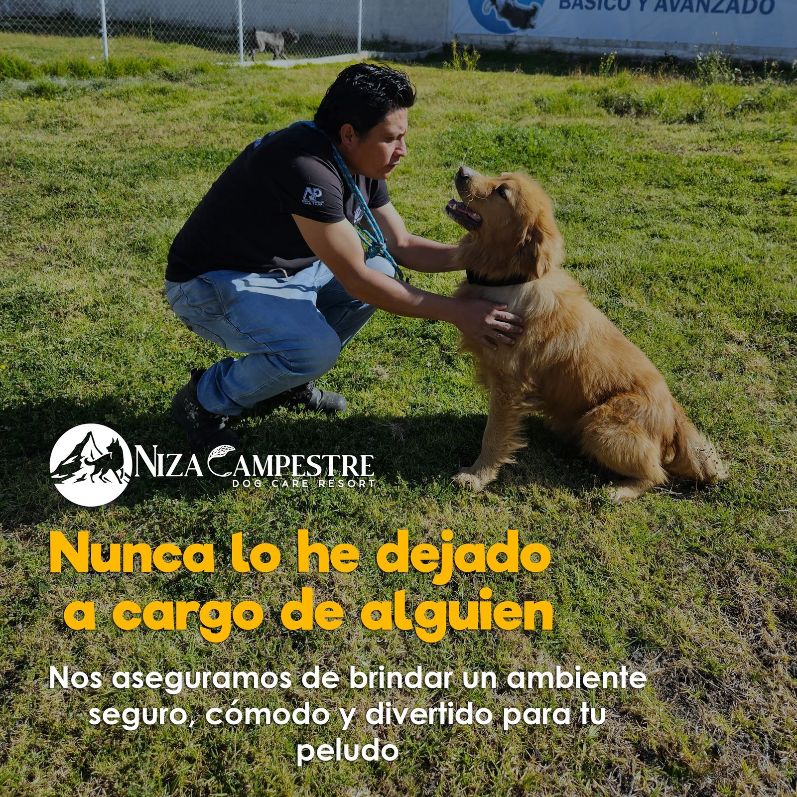 hotel canino en Niza campestre Toluca y metepec