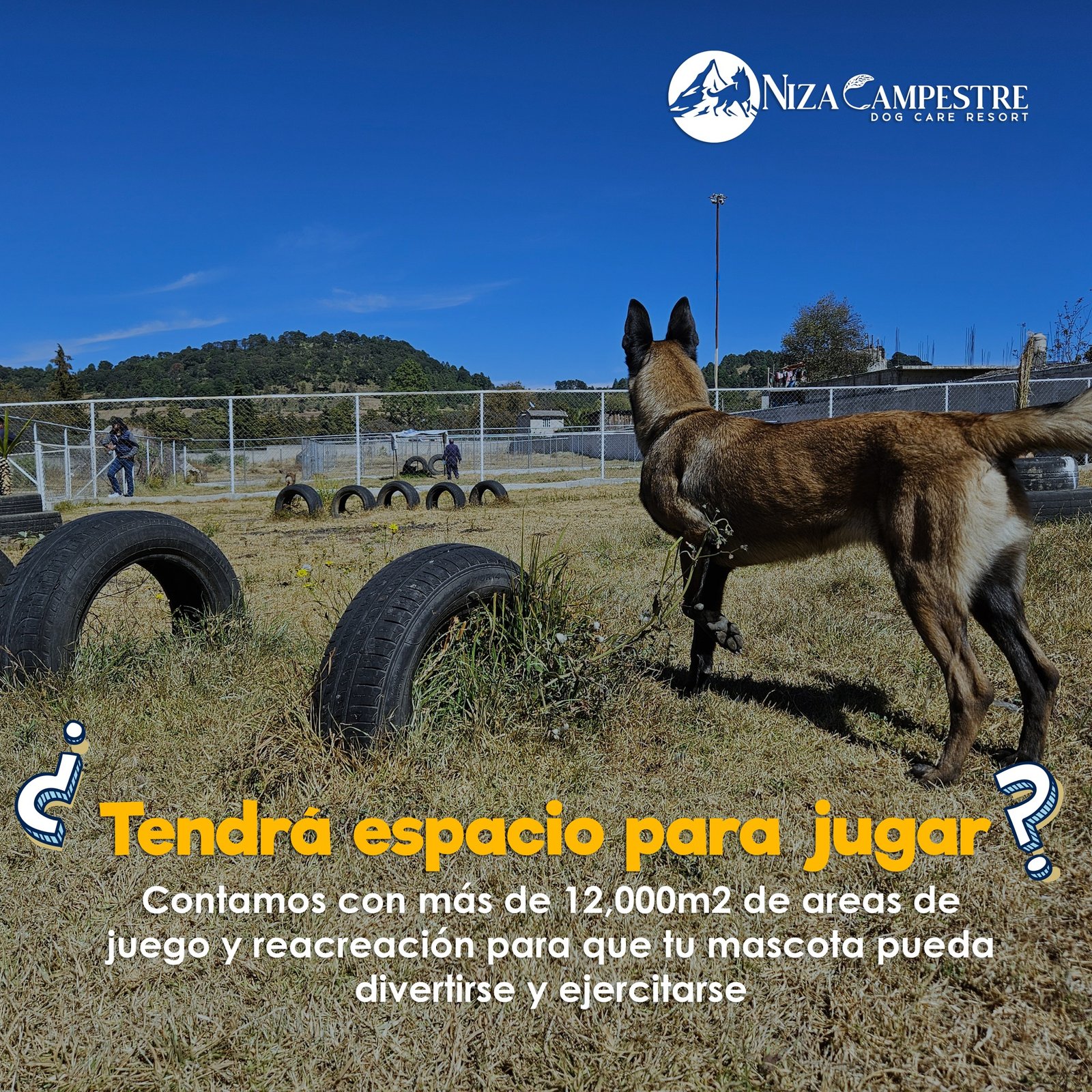 hotel canino en Niza campestre Toluca y metepec