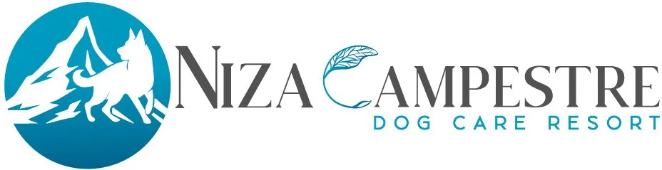 Niza Campestre Dog Care Resort
